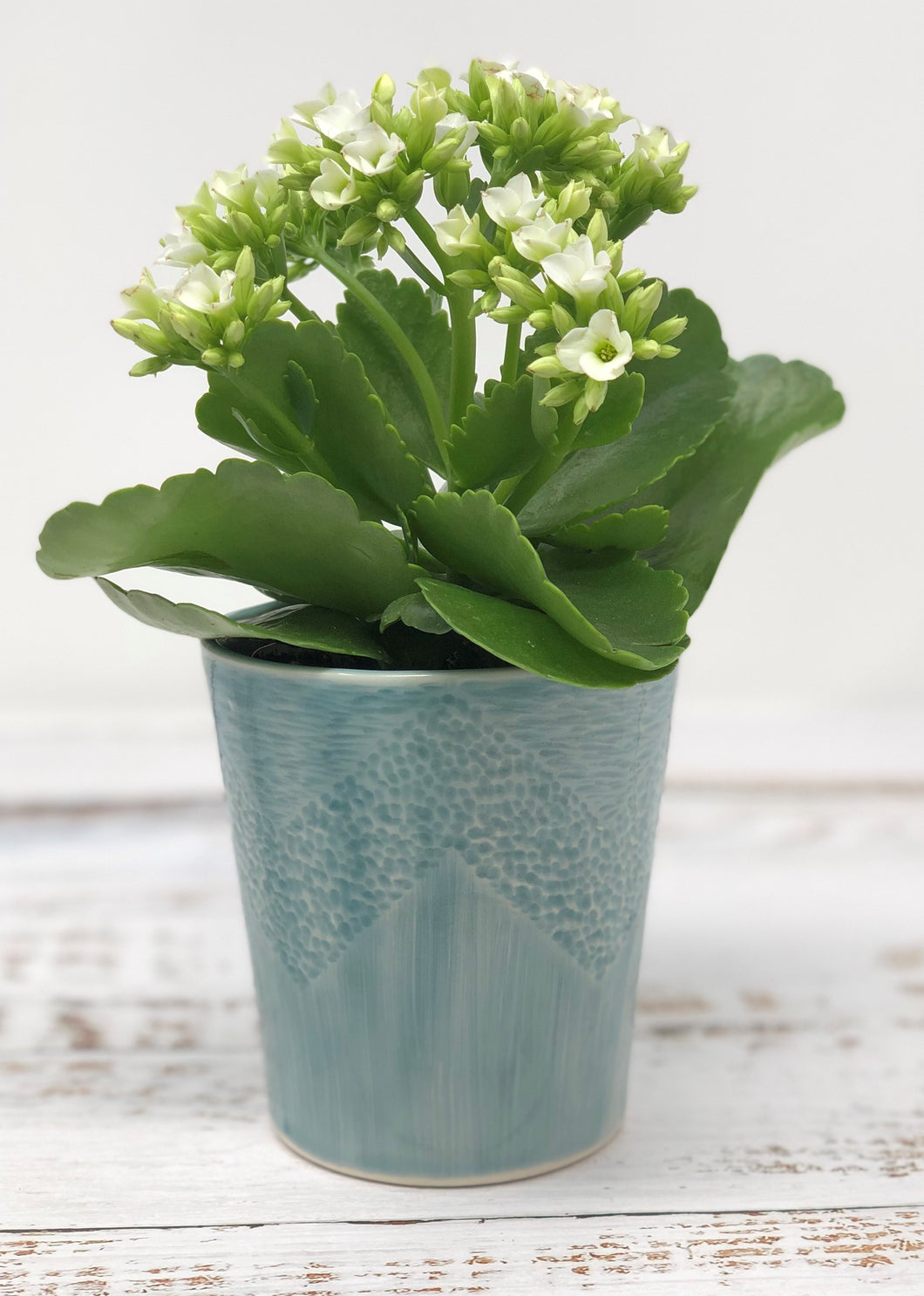 The Hopper Pot - Ice Blue